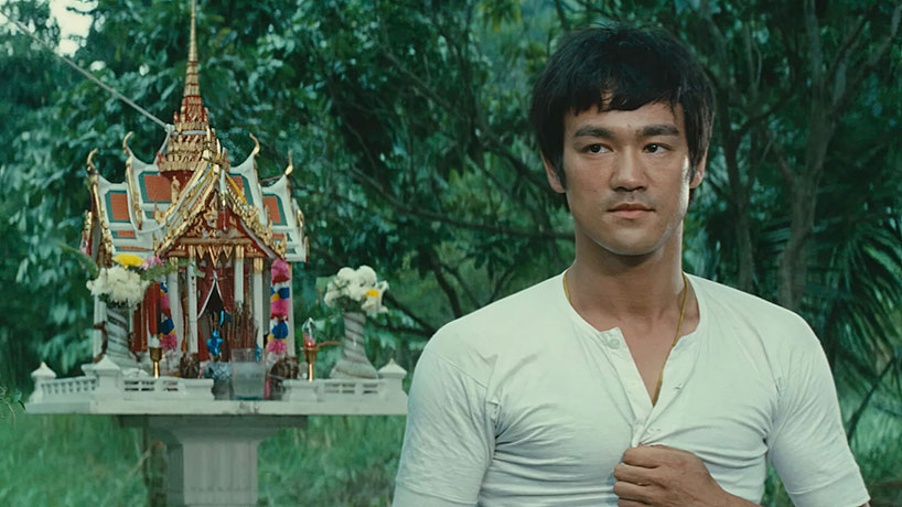 Big Boss (Tang shan da xiong)